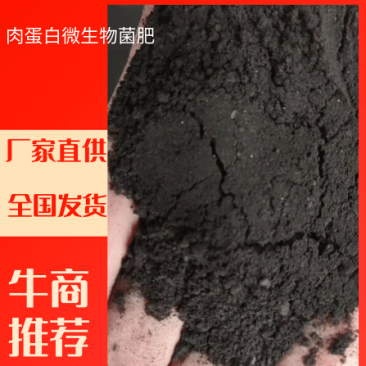 肉蛋白微生物菌肥，肉蛋白，菌肥，菌剂，腐熟发酵，粉剂