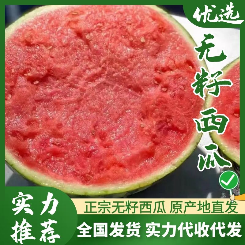 [美都西瓜批发]江苏盐城滨海县西瓜 1.10元/斤无籽麒麟，美都 _ 一亩田