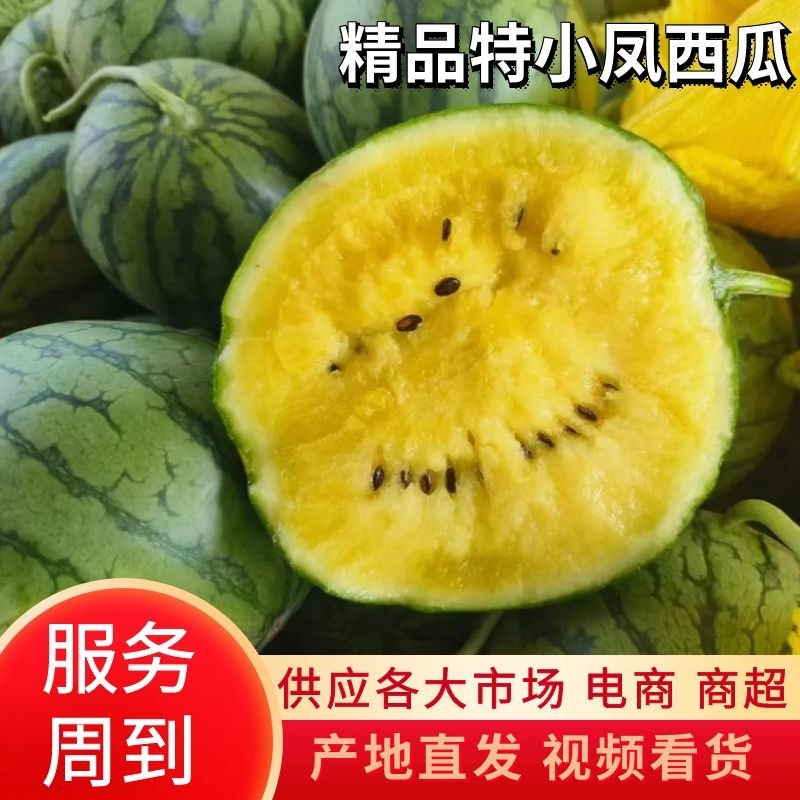 沭阳黄心西瓜品质保证诚信经营欢迎联系接商超市场电商