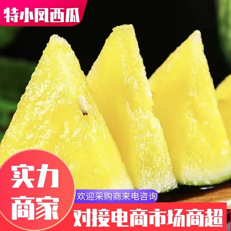 精品特小凤西瓜现货大量上市，江苏直购种植产地欢迎采购