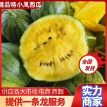 精品江苏特小凤西瓜保质保量欢迎老板接商超市场电商