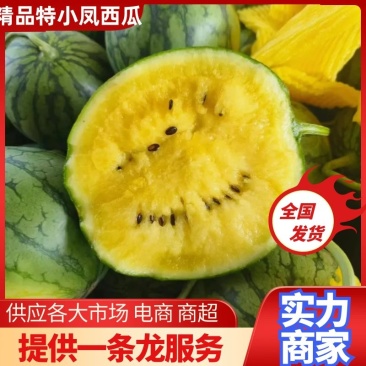 精品江苏特小凤西瓜保质保量欢迎老板接商超市场电商