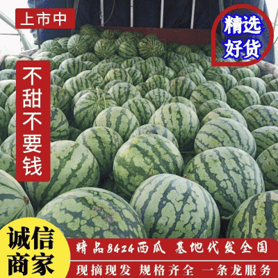 安徽宿州8424有籽西瓜，包熟包甜，瓜型好甜度高，产地直发