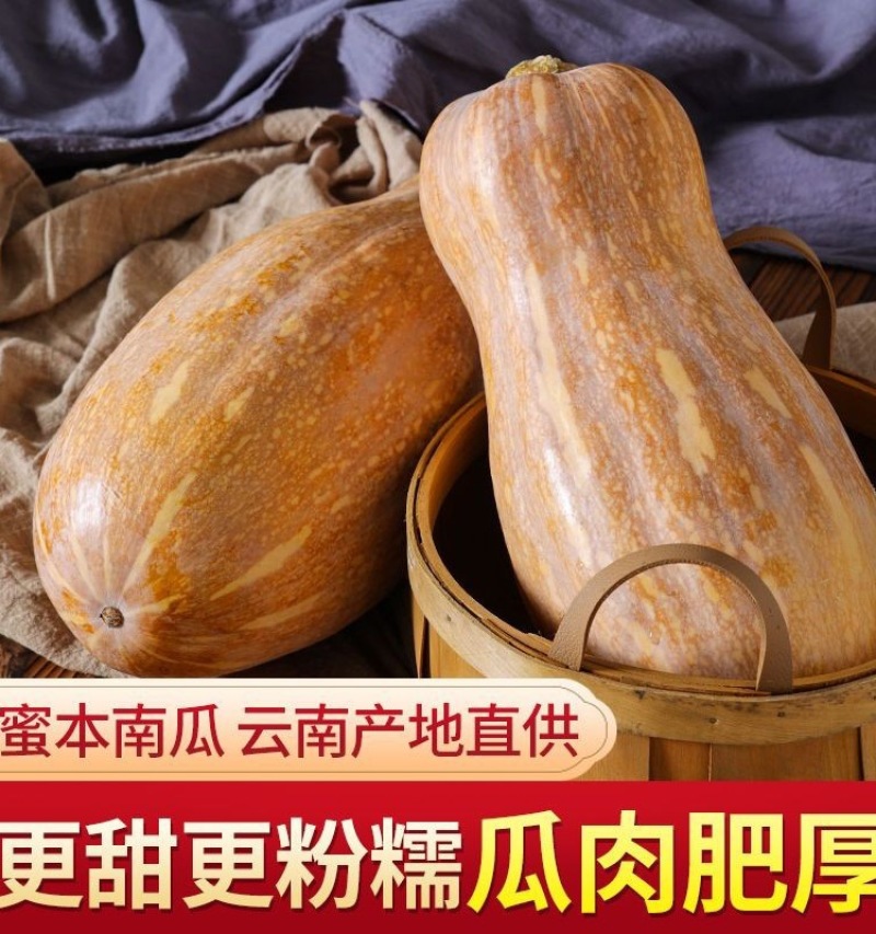 【热卖中】蜜本南瓜大量现货对接电商批发商社区团购
