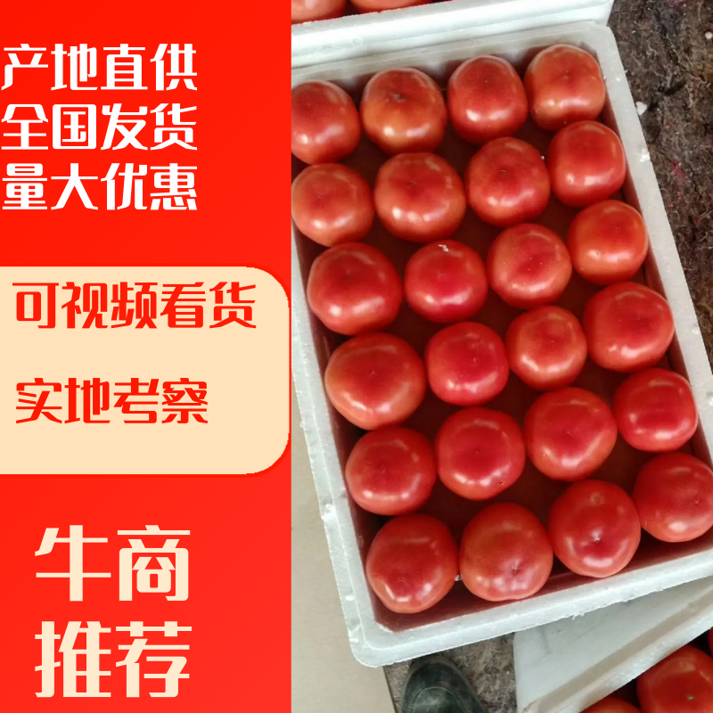 产地发货货源充足价格便宜欢迎采购商前来咨询选购