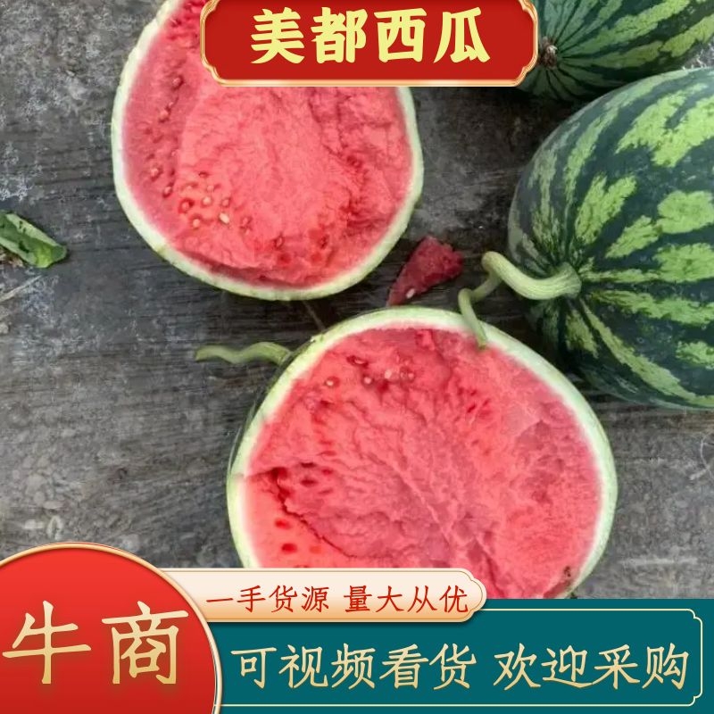 [美都西瓜批发]陕西渭南蒲城县西瓜 0.85元/斤大棚无籽美度西 _ 一亩田