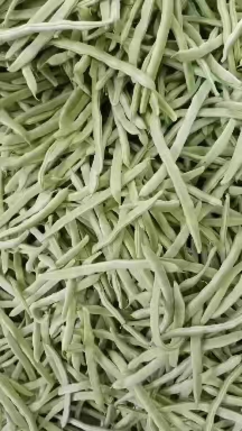 【优质】大棚菜，白不老，油豆红豆，大量上市中，一条龙服务