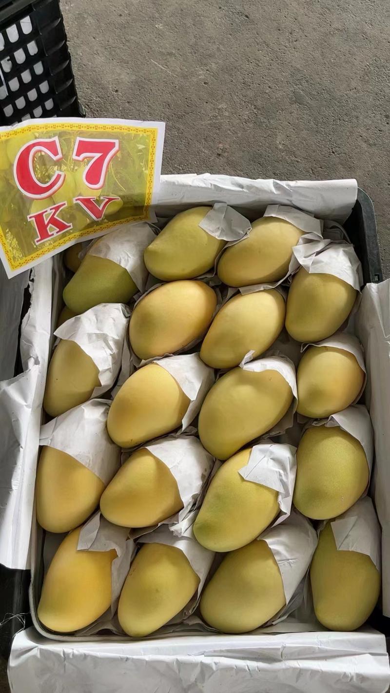 【产地直发】广西高乐蜜大量供应全国发货量大优惠欢迎联系