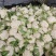 【实力】有机松花菜白面青梗菜花原产地发货梗货源足价格低