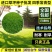 多年生黑麦草草坪种子室外庭院绿化耐旱不修剪草籽四季草耐冻