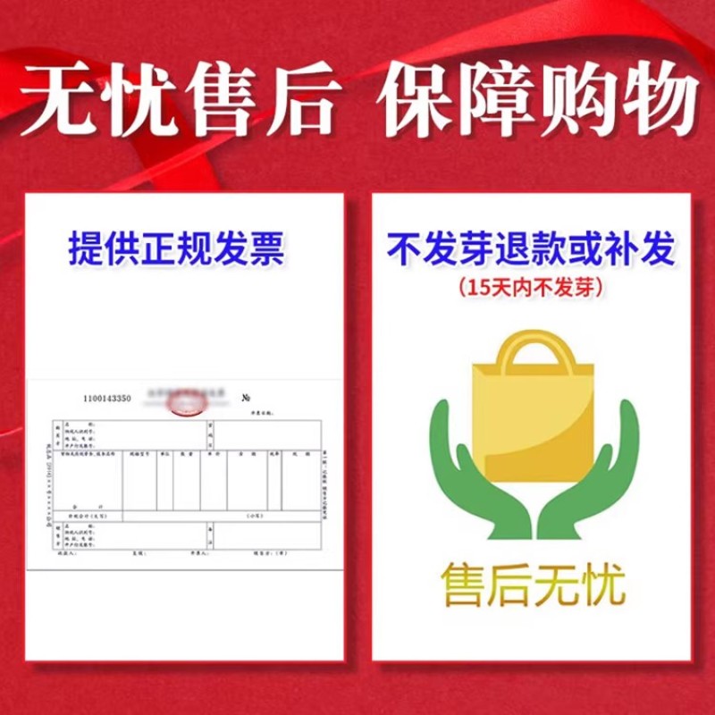 多年生黑麦草草坪种子室外庭院绿化耐旱不修剪草籽四季草耐冻