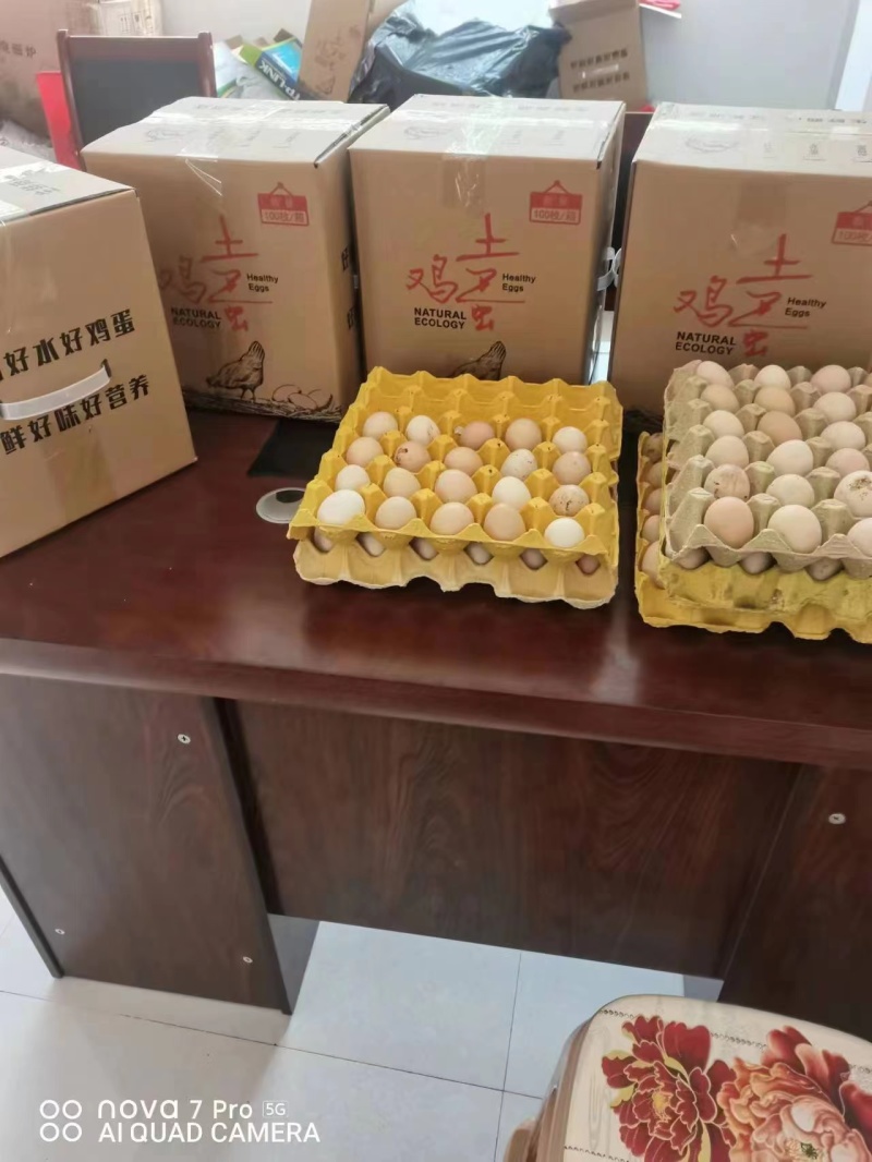 镇雄精品土鸡蛋产地一手货源可视频看货欢迎来电