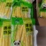 云南清水竹笋产地一手货源质量保证欢迎来电咨询