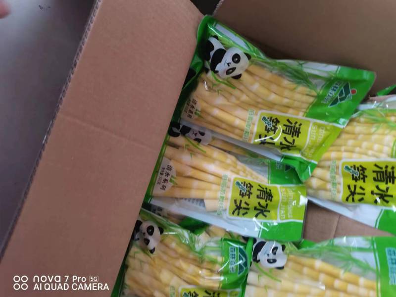 云南清水竹笋产地一手货源质量保证欢迎来电咨询