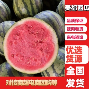 【西瓜】安徽美都西瓜大量上市中基地直供品质保证可视频看货