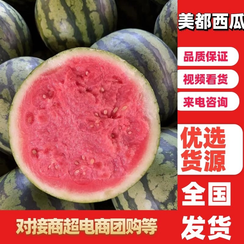 【西瓜】安徽美都西瓜大量上市中基地直供品质保证可视频看货