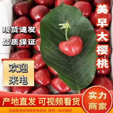 樱桃/陕西大樱桃/车厘子/大棚樱桃/美早樱桃