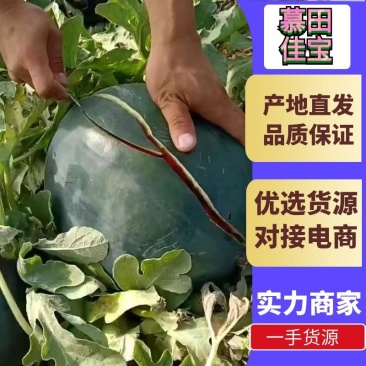 陕西西瓜慕田佳宝西瓜口感甜包熟全国发货欢迎联系