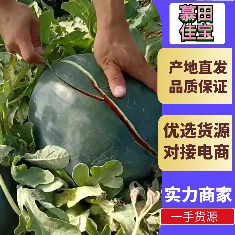 陕西西瓜慕田佳宝西瓜口感甜包熟全国发货欢迎联系