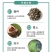 无芒雀麦种子沙打旺碱茅草紫羊茅芨芨草老芒麦耐寒绿化护草籽