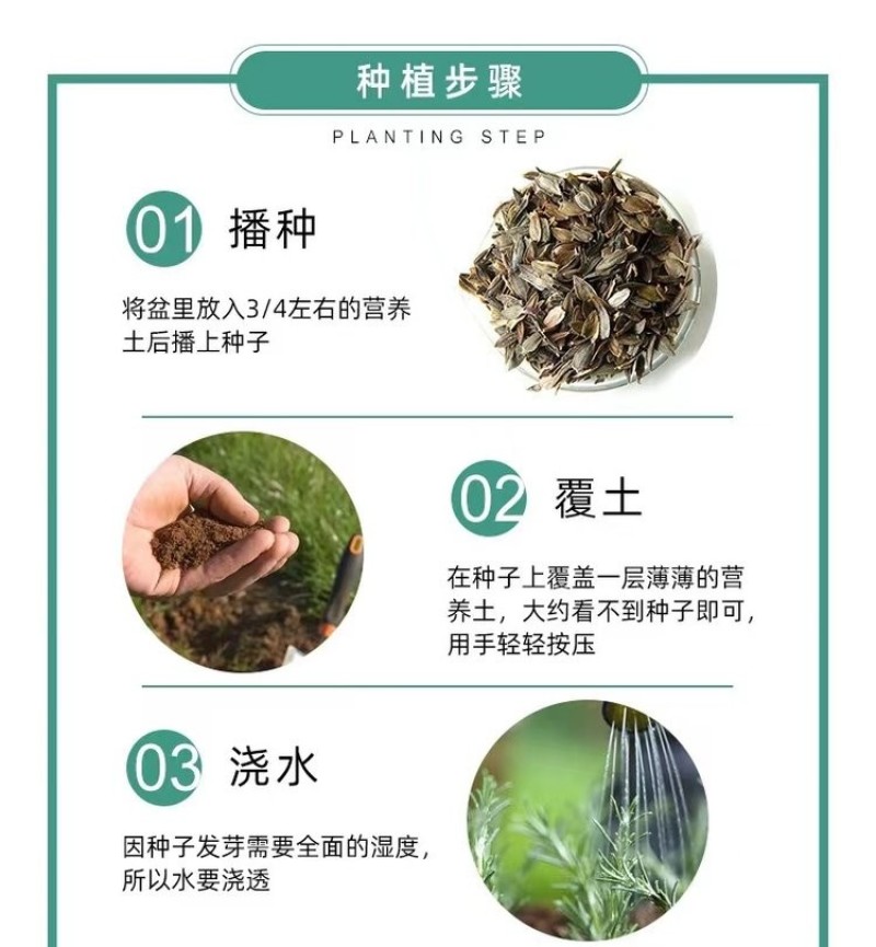 无芒雀麦种子沙打旺碱茅草紫羊茅芨芨草老芒麦耐寒绿化护草籽