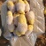 荷兰黄皮黄心中号土豆2到4,鲜货加工,无次品,全国发货