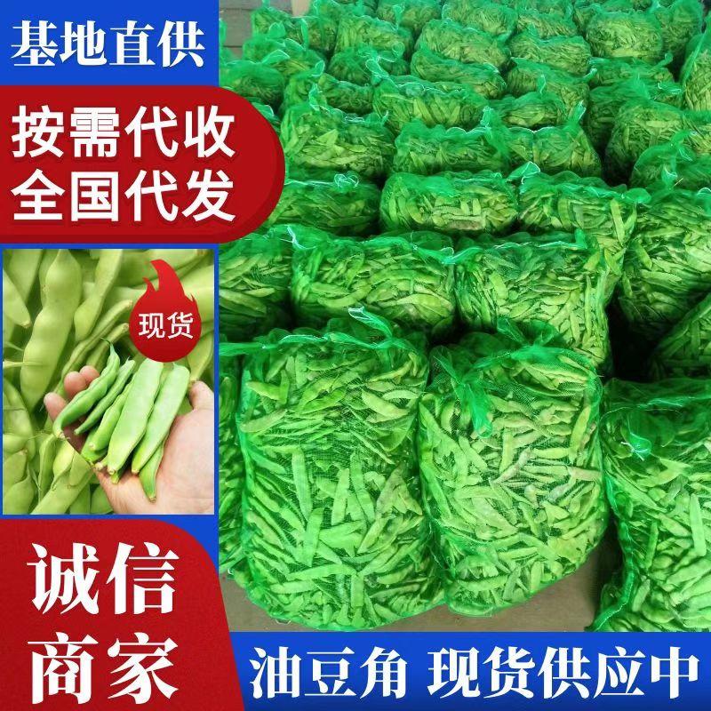 豆角吉林豆角吉林扶余油豆角一手货源量大从优