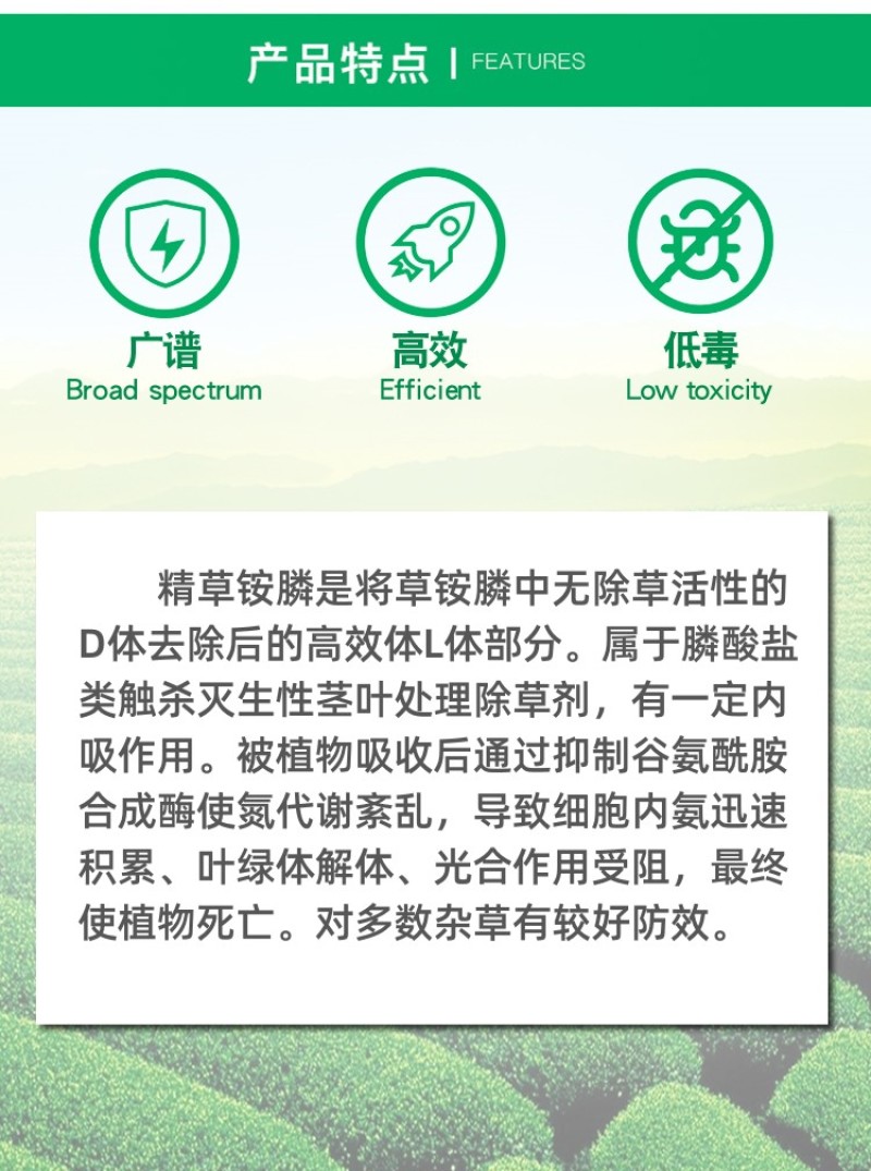 七精同锄精草铵膦铵盐小飞蓬牛筋草柑橘园非耕地灭生性除草剂