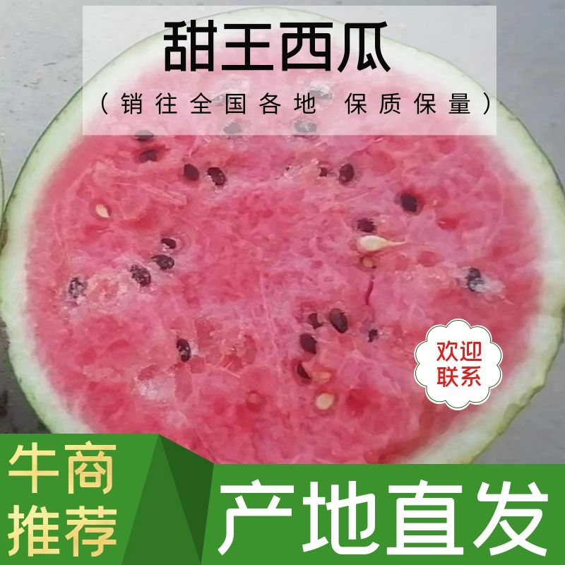 [甜王西瓜批发]安徽宿州砀山县西瓜 1.00元/斤精品【西瓜】甜 _ 一亩田