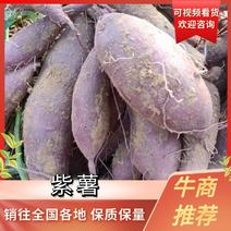 【精品】紫薯：二代、贵京、五爪金龙。产地现挖现发品质保证