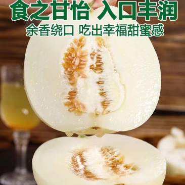 河南内黄沙地甜瓜，白莎密甜瓜香脆可口果园发货