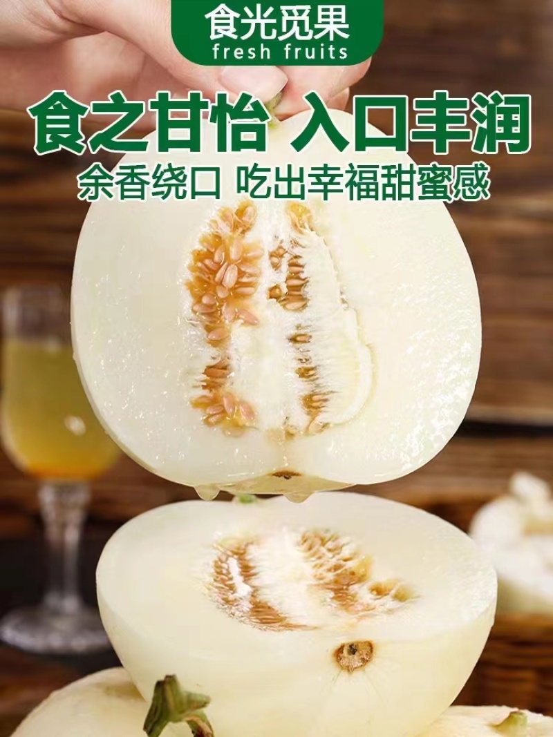 河南内黄沙地甜瓜，白莎密甜瓜香脆可口果园发货