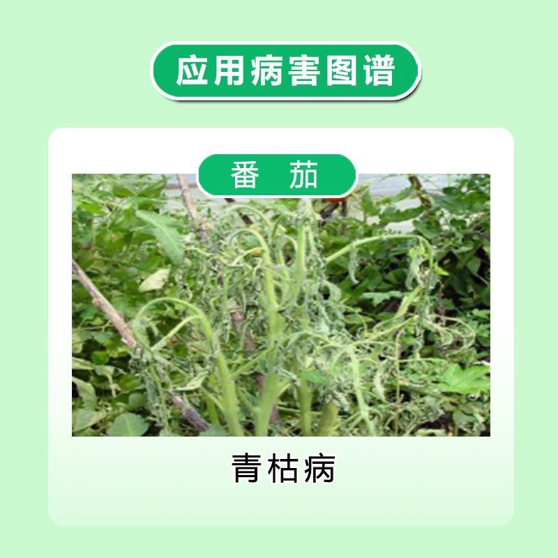 明农心中生菌素寡糖素明德立达6番茄青枯病杀菌剂