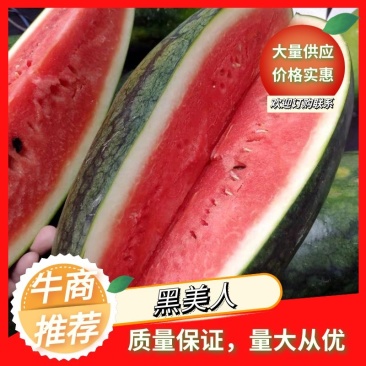 黑美人西瓜大量上市精品货源诚信经营欢迎电联订购