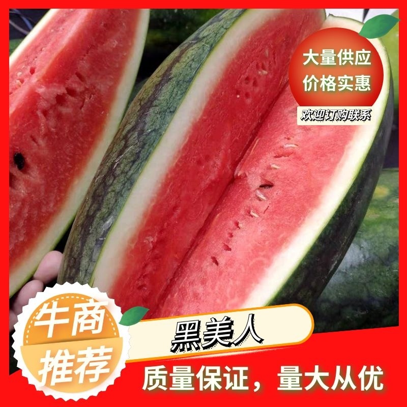 黑美人西瓜大量上市精品货源诚信经营欢迎电联订购