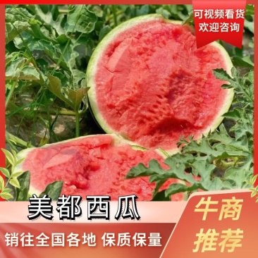美都大量上市，价格便宜，量大从优欢迎定购，品质保障
