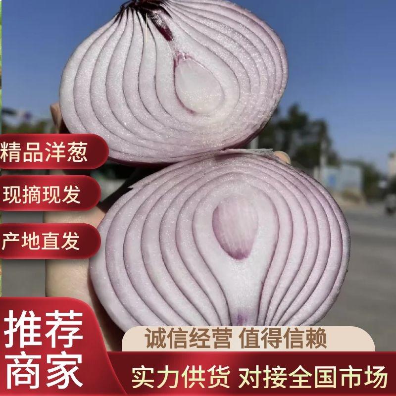 【洋葱】河南早熟红洋葱扁紫洋葱现大量上市可视频看货