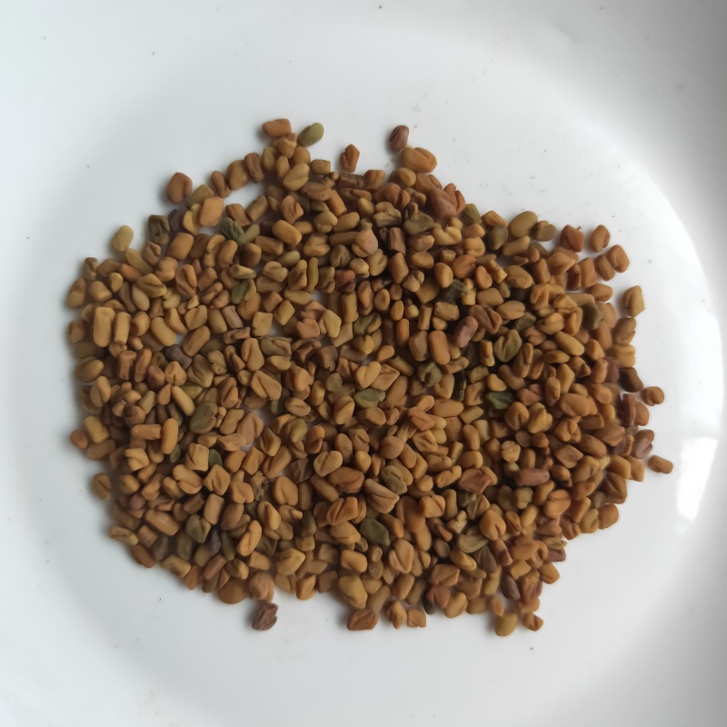 葫芦巴新货芦巴子大货供应中药材批发供应规格齐全