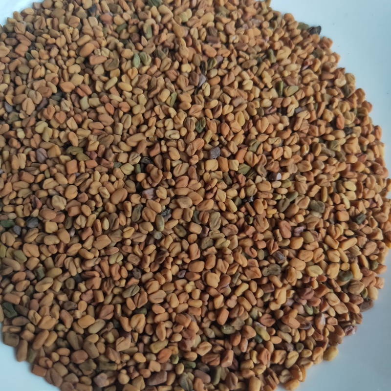 葫芦巴新货芦巴子大货供应中药材批发供应规格齐全