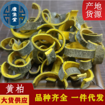 黄柏川黄柏规格齐全保证质量中药材批发供应规格齐全