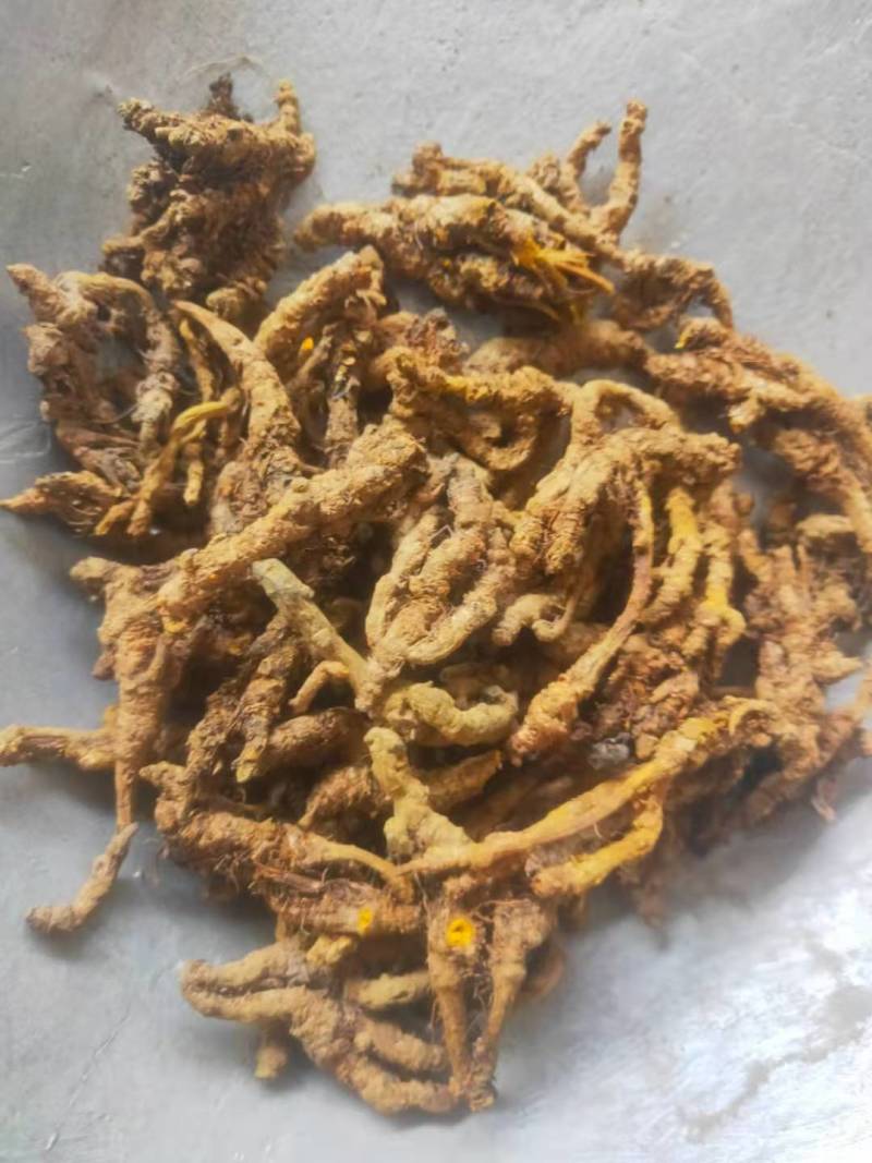 黄莲优质黄连片鸡爪连单支连规格齐全道地药材
