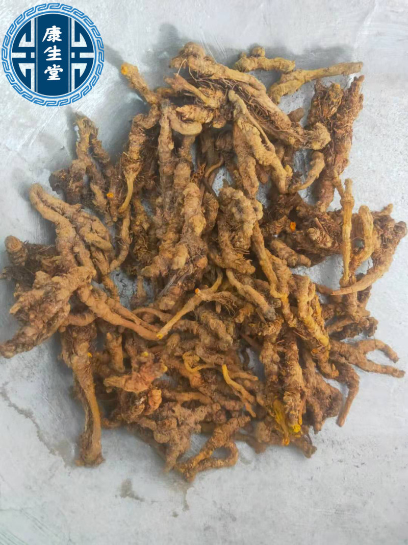 黄莲优质黄连片鸡爪连单支连规格齐全道地药材