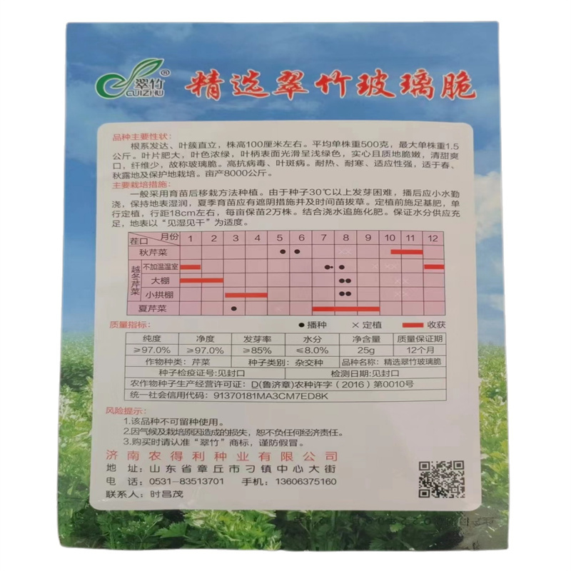 精选翠竹玻璃脆芹种子实心西芹菜种子耐热抗寒四季播基地