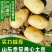 【热卖】山东精品土豆黄心土豆批发价格欢迎进店