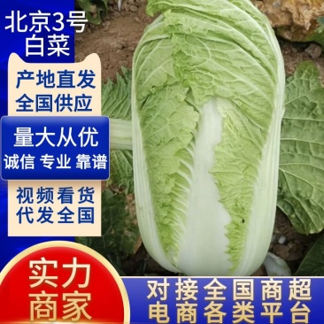 【精品】黄鑫供应泡菜厂，酸菜厂，加工厂，市场批发，超市等