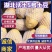 湖北新土豆黄皮黄心沃土5号大量供应，可实地考察看货