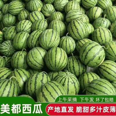 【美都西瓜】精品西瓜大量上市质量保障诚信为本对接全国电商