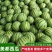 【美都西瓜】精品西瓜大量上市质量保障诚信为本对接全国电商