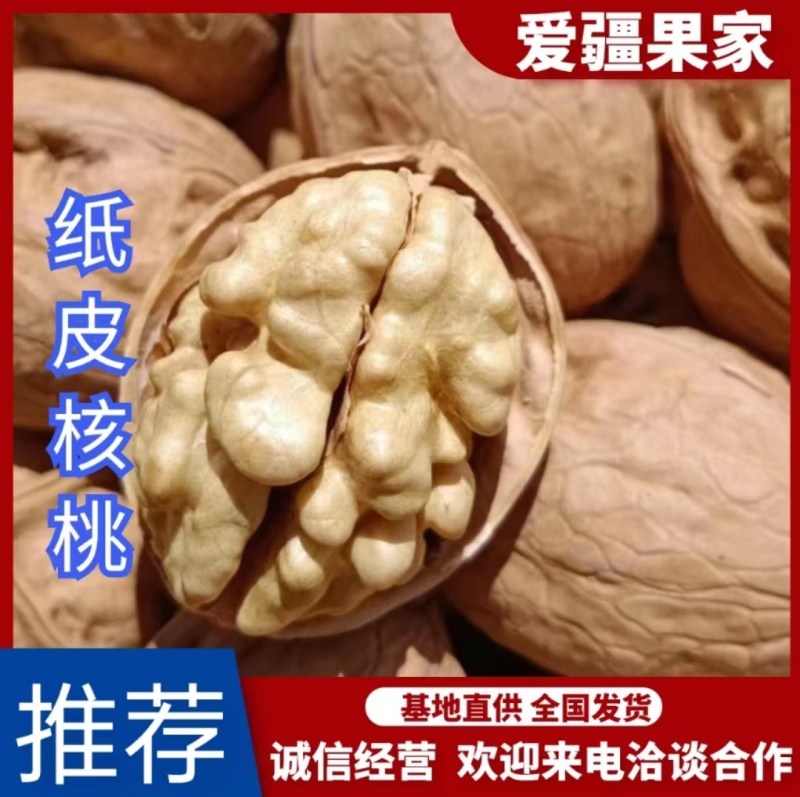 【有好货】新疆185纸皮核桃2023年新货，农户自产自销