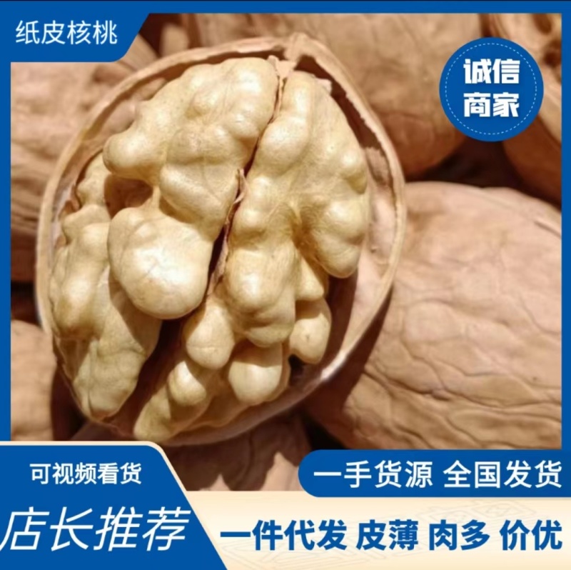 新疆185纸皮核桃24年原生态新货产地农户自产自销